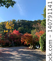 walk in autumn leaves 140791141