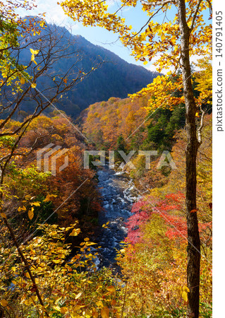 251029 Okushiga Valley, Nagano Prefecture: Zakogawa River and autumn leaves 251029 Okushiga Valley, Nagano Prefecture: Zakogawa River and autumn leaves 140791405