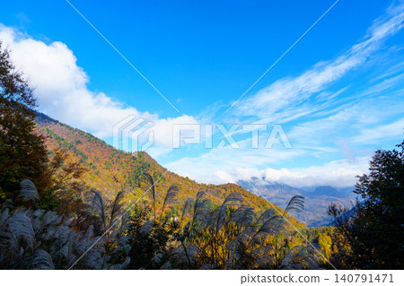 251029 Okushiga Valley, Nagano Prefecture 251029 Okushiga Valley, Nagano Prefecture 140791471