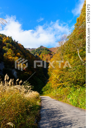 251029 Okushiga Valley, Nagano Prefecture 140791473