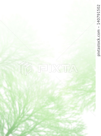 A silhouette of trees bathed in light, against a light-colored background. A silhouette of trees bathed in light, against a light-colored background. 140791502