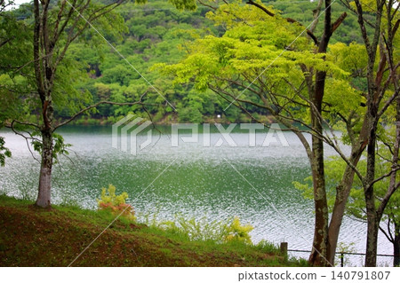 新鮮的綠色和池塘的景觀 新鮮的綠色和池塘的景觀 140791807