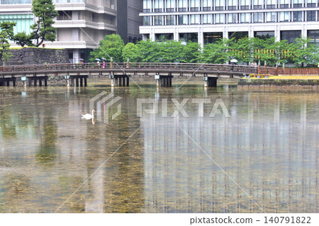 下雨天，天鵝在和田倉護城河中游泳。 140791822