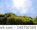 Clouds, sun, and trees 140792389