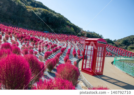 Shima City, Mie Prefecture: Shima City Tourist Farm - Kochia field and red telephone booth - Autumn image 140792710