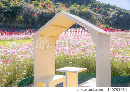 Shima City, Mie Prefecture: Shima City Tourist Farm - A photo spot featuring a field of cosmos flowers in full bloom and a white hut, evoking an autumnal image. Shima City, Mie Prefecture: Shima City Tourist Farm - A photo spot featuring a field of cosmos flowers in full bloom and a white hut, evoking an autumnal image. 140793084