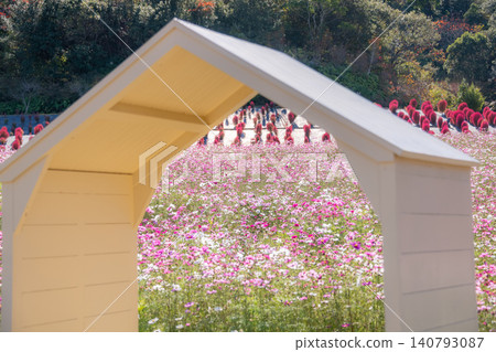 Shima City, Mie Prefecture: Shima City Tourist Farm - A photo spot featuring a field of cosmos flowers in full bloom and a white hut, evoking an autumnal image. Shima City, Mie Prefecture: Shima City Tourist Farm - A photo spot featuring a field of cosmos flowers in full bloom and a white hut, evoking an autumnal image. 140793087