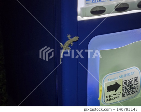 一隻壁虎被自動販賣機的燈光吸引:城市野生動物和日常夜間景象。 一隻壁虎被自動販賣機的燈光吸引:城市野生動物和日常夜間景象。 140793145