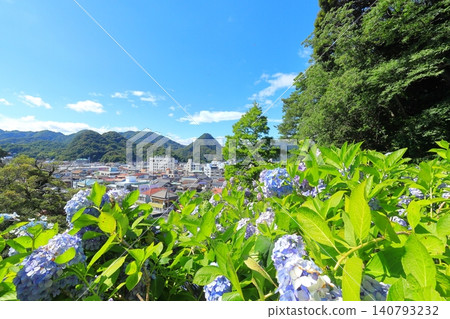 Hydrangea in Shimoda Park Hydrangea in Shimoda Park 140793232