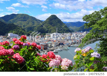 Hydrangea in Shimoda Park 140793255