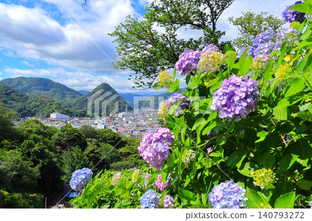 Hydrangea in Shimoda Park Hydrangea in Shimoda Park 140793272