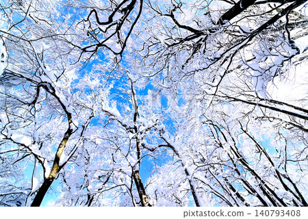 從正下方俯瞰,可以看到湛藍的天空、白雪皚皚的冬日森林和樹木。 從正下方俯瞰,可以看到湛藍的天空、白雪皚皚的冬日森林和樹木。 140793408