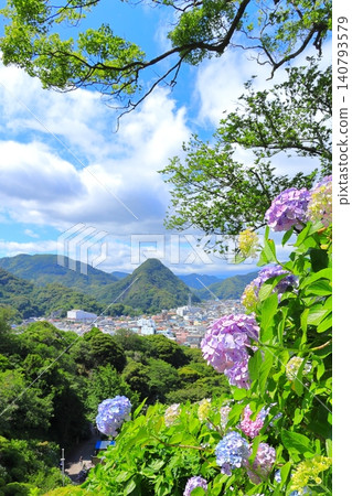 Hydrangea in Shimoda Park Hydrangea in Shimoda Park 140793579