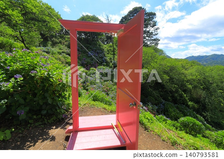 Hydrangea in Shimoda Park 140793581