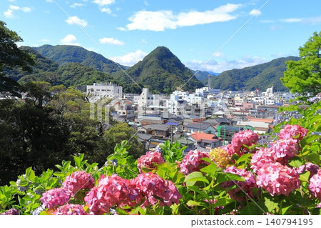 Hydrangea in Shimoda Park 140794195