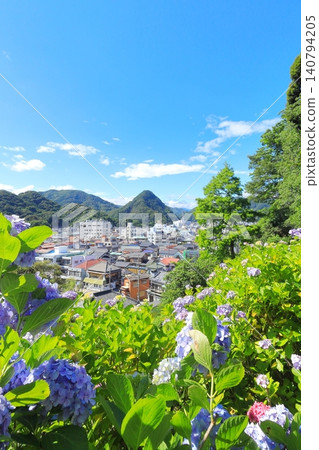 Hydrangea in Shimoda Park 140794205