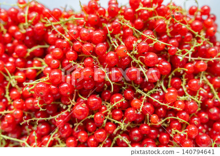 Full frame macro shot of freshly harvested ripe red currant berries with green stems. Vibrant, juicy summer fruit texture background. Stock photo.Close-up of organic redcurrants rich in vitamins Full frame macro shot of freshly harvested ripe red currant berries with green stems. Vibrant, juicy summer fruit texture background. Stock photo.Close-up of organic redcurrants rich in vitamins 140794641