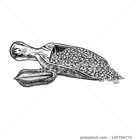 Sesame seeds in a wooden scoop. Black and white vector graphics. Hand-drawn illustration. On a white background. Perfect for creating labels, packaging, menus, and more. Sesame seeds in a wooden scoop. Black and white vector graphics. Hand-drawn illustration. On a white background. Perfect for creating labels, packaging, menus, and more. 140794774