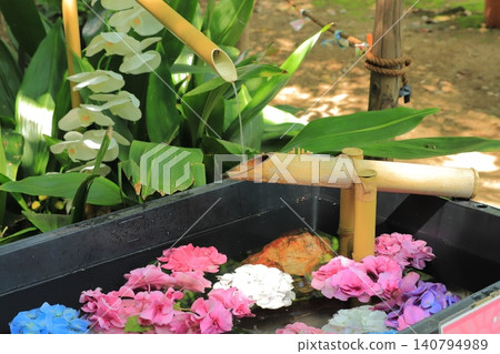 Hydrangeas blooming in front of the Jizo statue Hydrangeas blooming in front of the Jizo statue 140794989