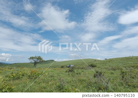 在晴朗的藍天下,鬱鬱蔥蔥的青山環繞中,一棵孤樹和一座山間小屋矗立在夏日的高地上。 在晴朗的藍天下,鬱鬱蔥蔥的青山環繞中,一棵孤樹和一座山間小屋矗立在夏日的高地上。 140795110