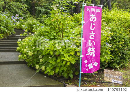 繡球花繡球節 繡球花繡球節 140795192