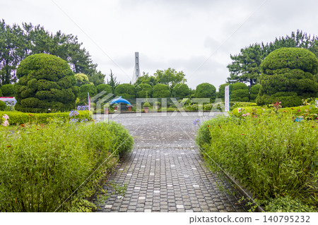 Hydrangea Hydrangea Festival Hydrangea Hydrangea Festival 140795232