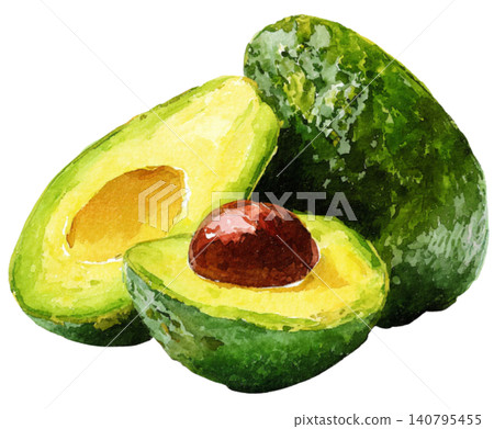 avocado avocado 140795455