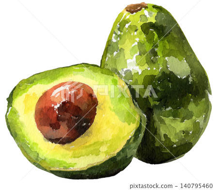 avocado avocado 140795460