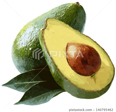 avocado avocado 140795462