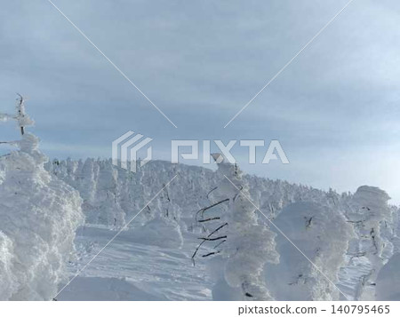 Rime on trees, hoarfrost, Zao 140795465