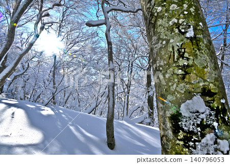 A beautiful forest of snow-covered mountains bathed in blue sky and sunlight, and a single tree with letters carved into it. A beautiful forest of snow-covered mountains bathed in blue sky and sunlight, and a single tree with letters carved into it. 140796053