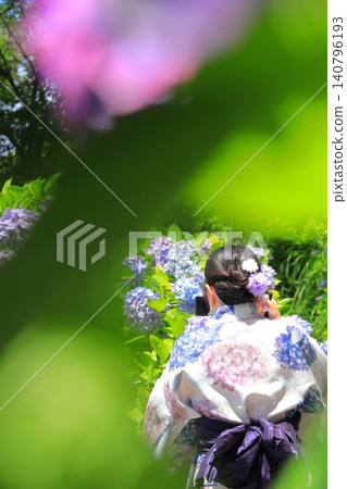 下田公園的繡球花 下田公園的繡球花 140796193