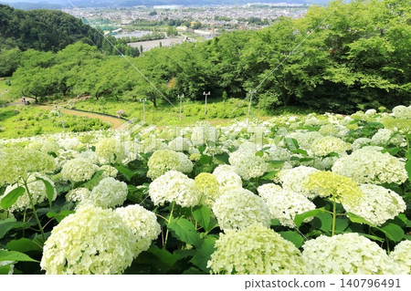 東京夏日樂園繡球花園 東京夏日樂園繡球花園 140796491