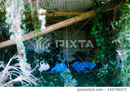 Abandoned houses being eroded by nature Abandoned houses being eroded by nature 140796872