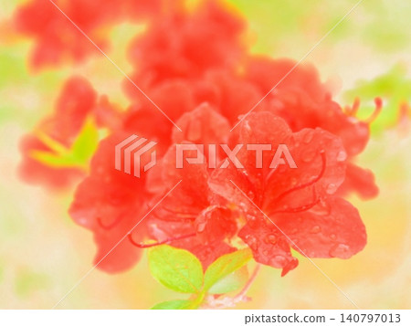 Mountain azaleas on a rainy morning (afw2 20260528065436) Mountain azaleas on a rainy morning (afw2 20260528065436) 140797013