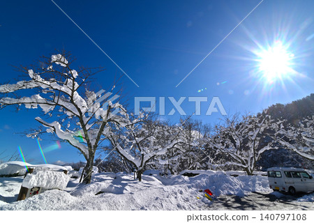 Snow-covered trees and a snowy landscape illuminated by a clear blue sky and dazzling sunlight. Snow-covered trees and a snowy landscape illuminated by a clear blue sky and dazzling sunlight. 140797108