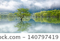 The submerged forest of Shirakawa Lake, enveloped in morning mist and lush greenery (Iide Town, Yamagata Prefecture, late April) 140797419