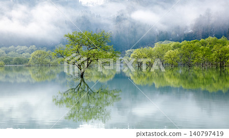 白川湖水下森林,籠罩在晨霧和茂密的綠植之中(山形縣飯出町,四月下旬) 白川湖水下森林,籠罩在晨霧和茂密的綠植之中(山形縣飯出町,四月下旬) 140797419