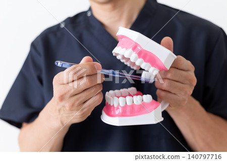 A middle-aged male dentist holding a dental model. A middle-aged male dentist holding a dental model. 140797716