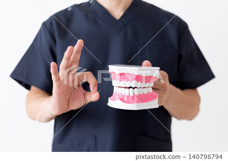 A middle-aged male dentist makes a circular pose while holding a dental model. A middle-aged male dentist makes a circular pose while holding a dental model. 140798794