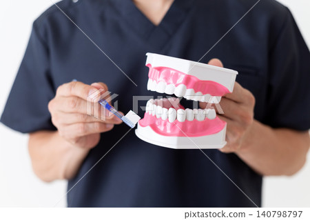 A middle-aged male dentist holding a dental model. A middle-aged male dentist holding a dental model. 140798797