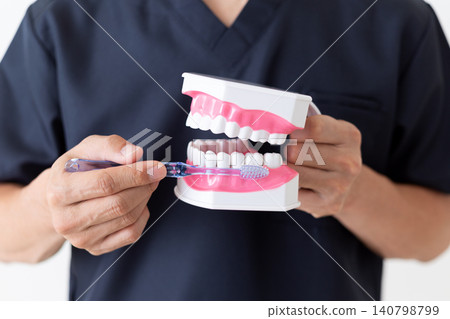 A middle-aged male dentist holding a dental model. A middle-aged male dentist holding a dental model. 140798799