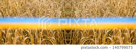 Ukrainian flag double exposure on golden wheat field background. National blue and yellow flag symbols integrated with ripe wheat stalks, panoramic patriotism or agriculture banner Ukrainian flag double exposure on golden wheat field background. National blue and yellow flag symbols integrated with ripe wheat stalks, panoramic patriotism or agriculture banner 140799073