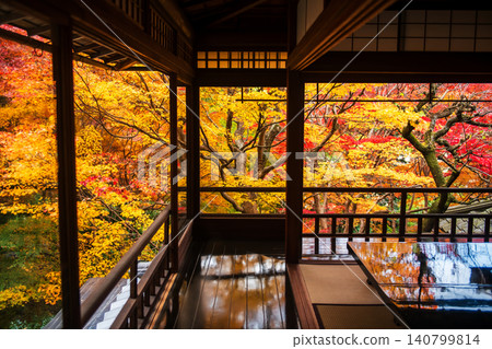 Rurikoin temple room with beautiful autumn maple leaf, Kyoto 140799814