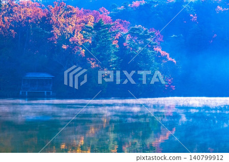 京都寶池的晨霧與秋葉 京都寶池的晨霧與秋葉 140799912