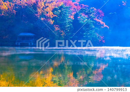 京都寶池的秋葉 京都寶池的秋葉 140799913