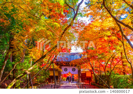 Kyoto: The Yakui Gate and autumn leaves of Komyoji Temple Kyoto: The Yakui Gate and autumn leaves of Komyoji Temple 140800017