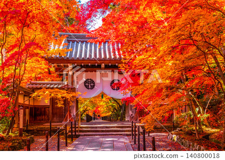 Kyoto: The Yakui Gate and autumn leaves of Komyoji Temple Kyoto: The Yakui Gate and autumn leaves of Komyoji Temple 140800018
