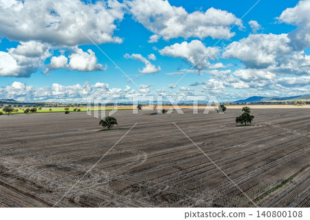 Aerial view of an agricultural field featuring solitary trees surrounded by expansive farmland in the Namoi Valley, showcasing the scale and beauty of the rural landscape in NSW, Australia. 140800108