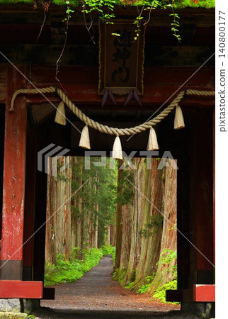 戶隱神社內殿瑞神門與綠意盎然的杉樹大道② 戶隱神社內殿瑞神門與綠意盎然的杉樹大道② 140800177